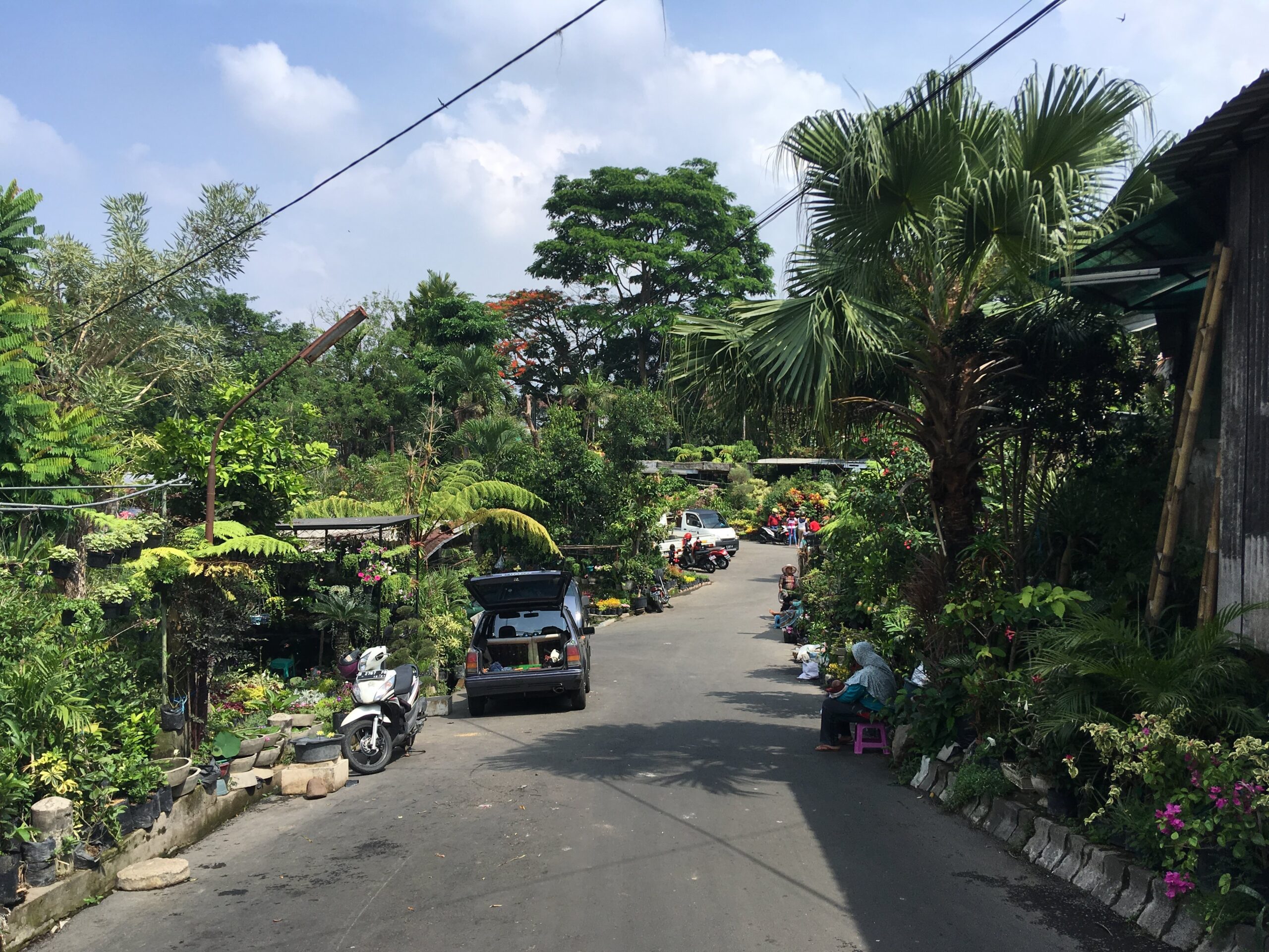 Pedagang tanaman sedang menata pot-pot bunga segar yang baru turun dari mobil pick-up di gerbang kios Splendid saat fajar mulai terang.